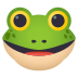 :frog: :frog: