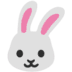 :rabbit: